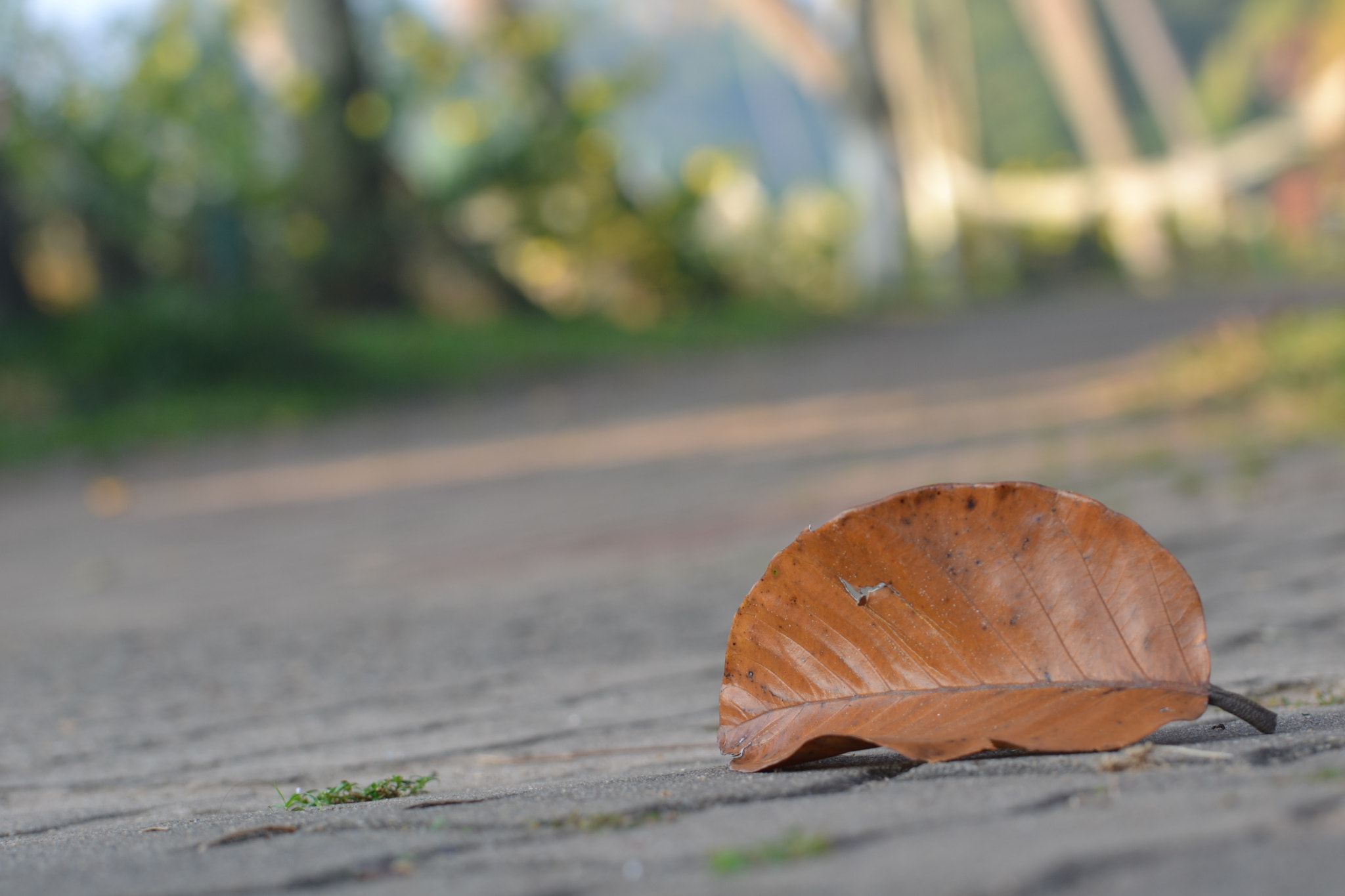Nikon D3100 sample photo. Often ignored photography
