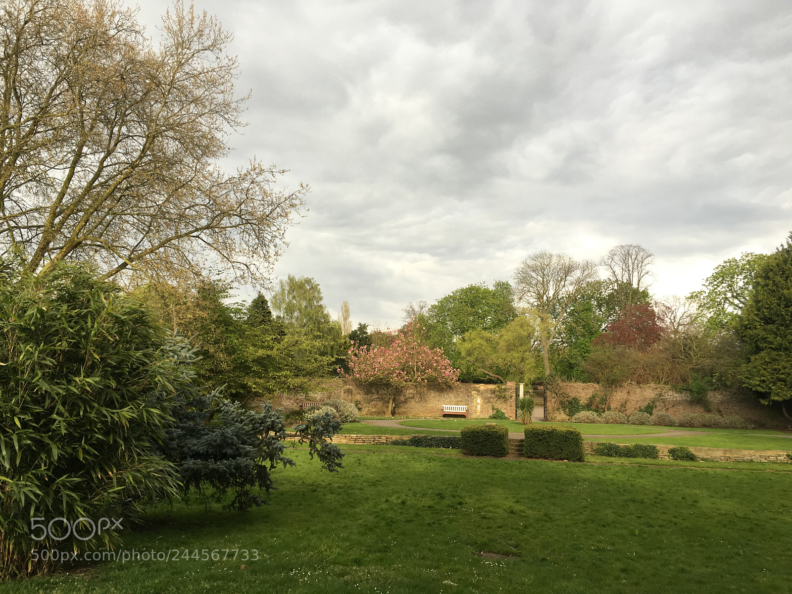 Apple iPhone 6s sample photo. Img photography