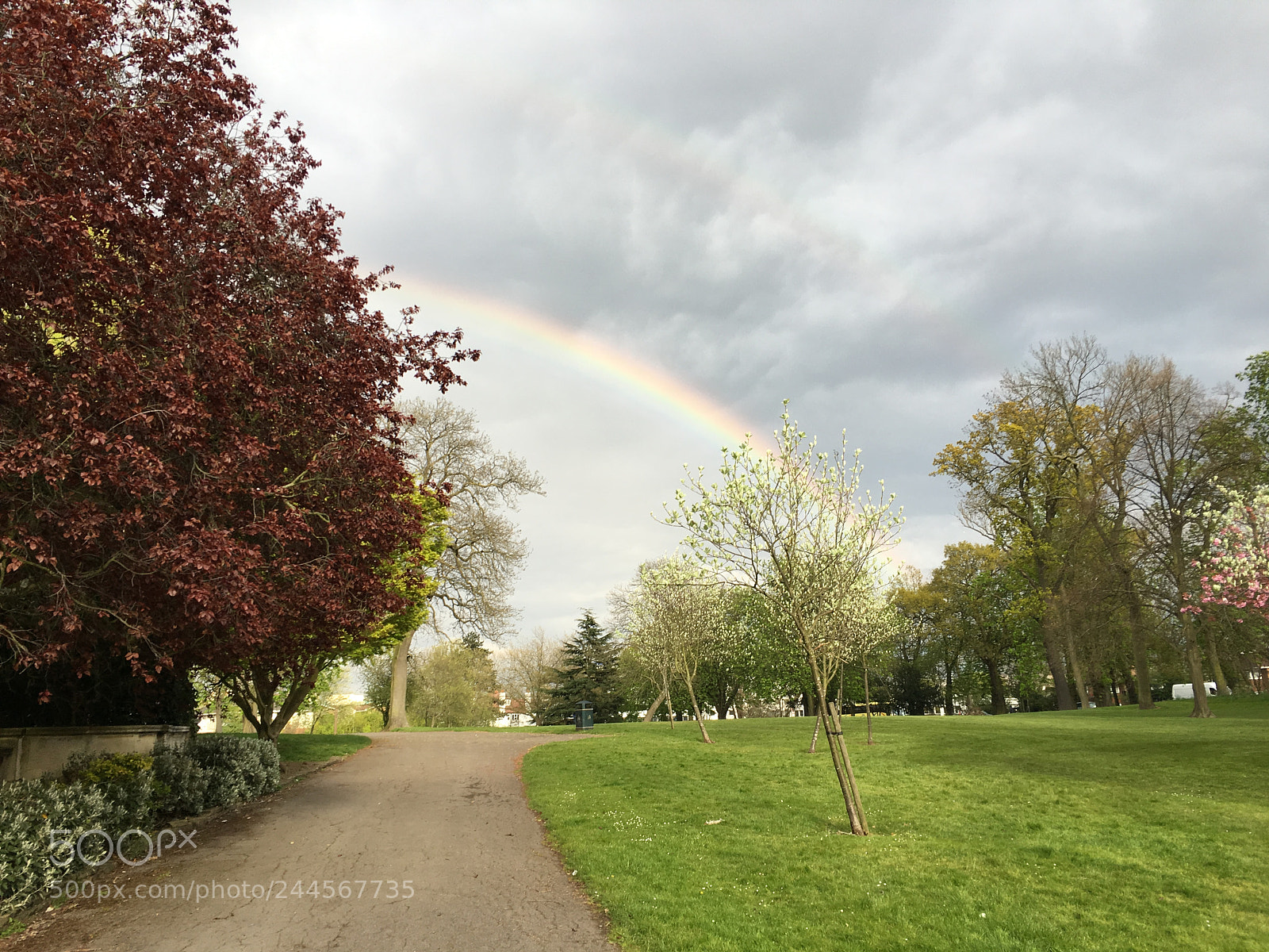 Apple iPhone 6s sample photo. Img photography