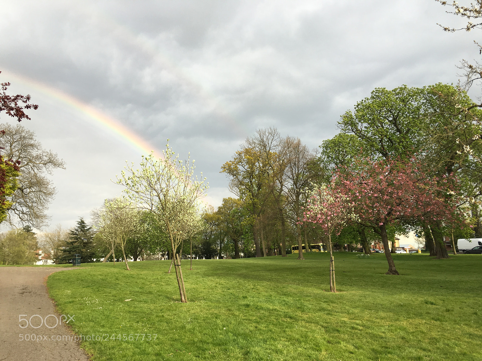Apple iPhone 6s sample photo. Img photography