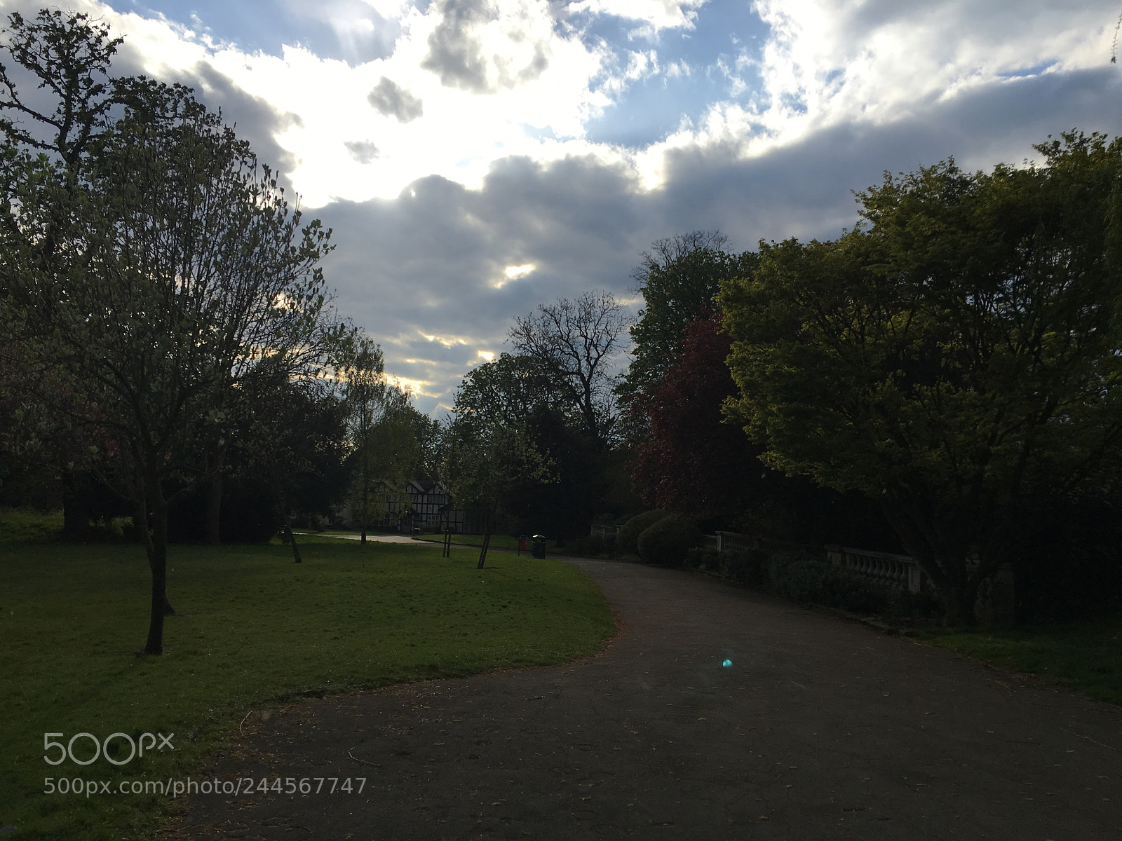 Apple iPhone 6s sample photo. Img photography