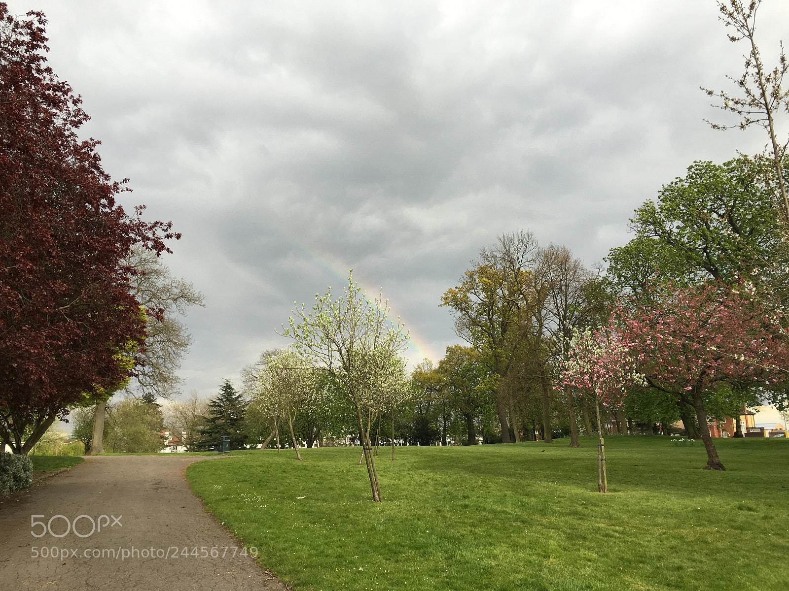 Apple iPhone 6s sample photo. Img photography