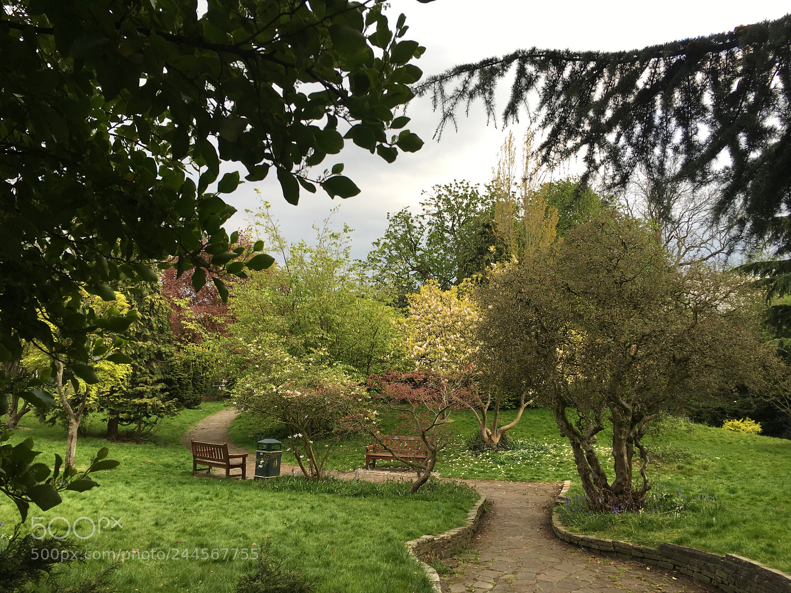 Apple iPhone 6s sample photo. Img photography