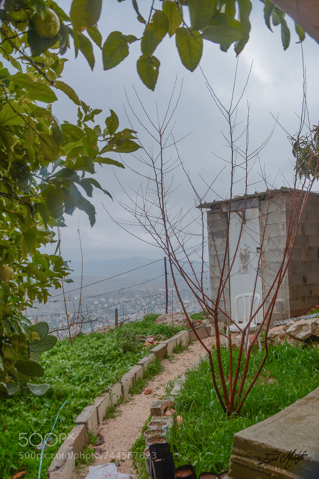 Nikon D7100 sample photo. Green way photography