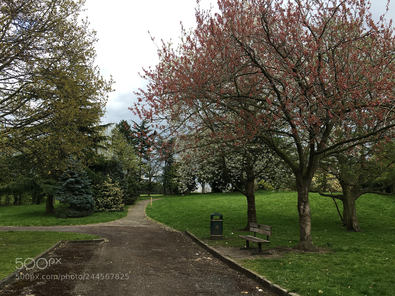 Apple iPhone 6s sample photo. Img photography