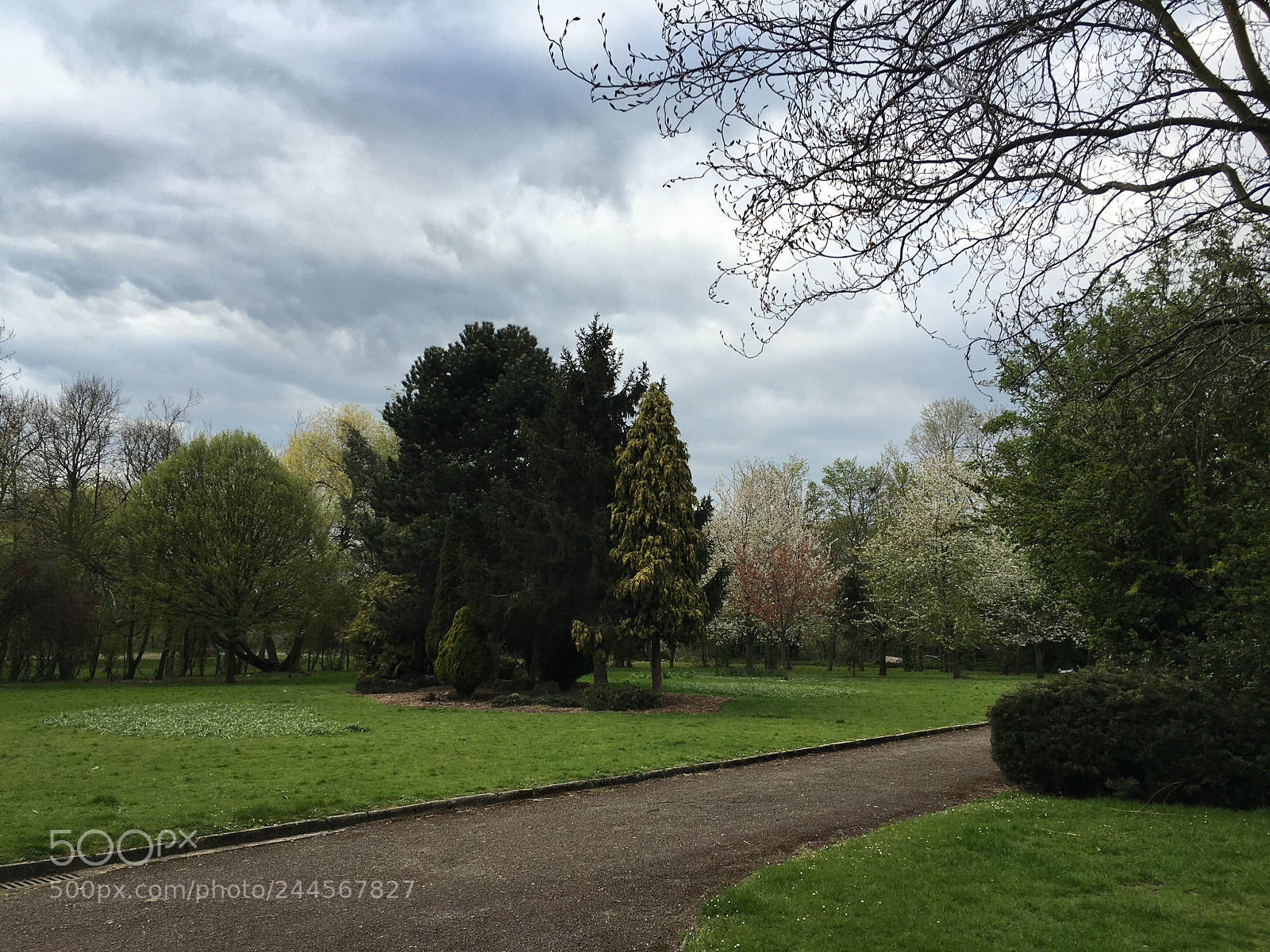 Apple iPhone 6s sample photo. Img photography