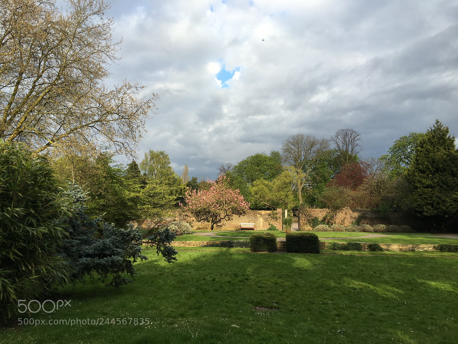 Apple iPhone 6s sample photo. Img photography
