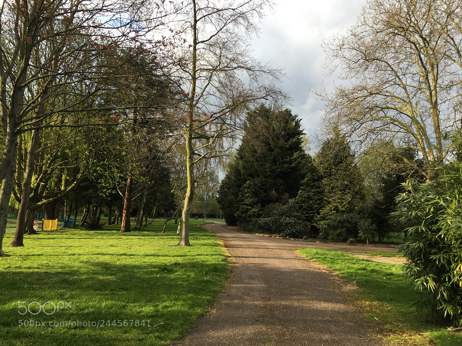 Apple iPhone 6s sample photo. Img photography