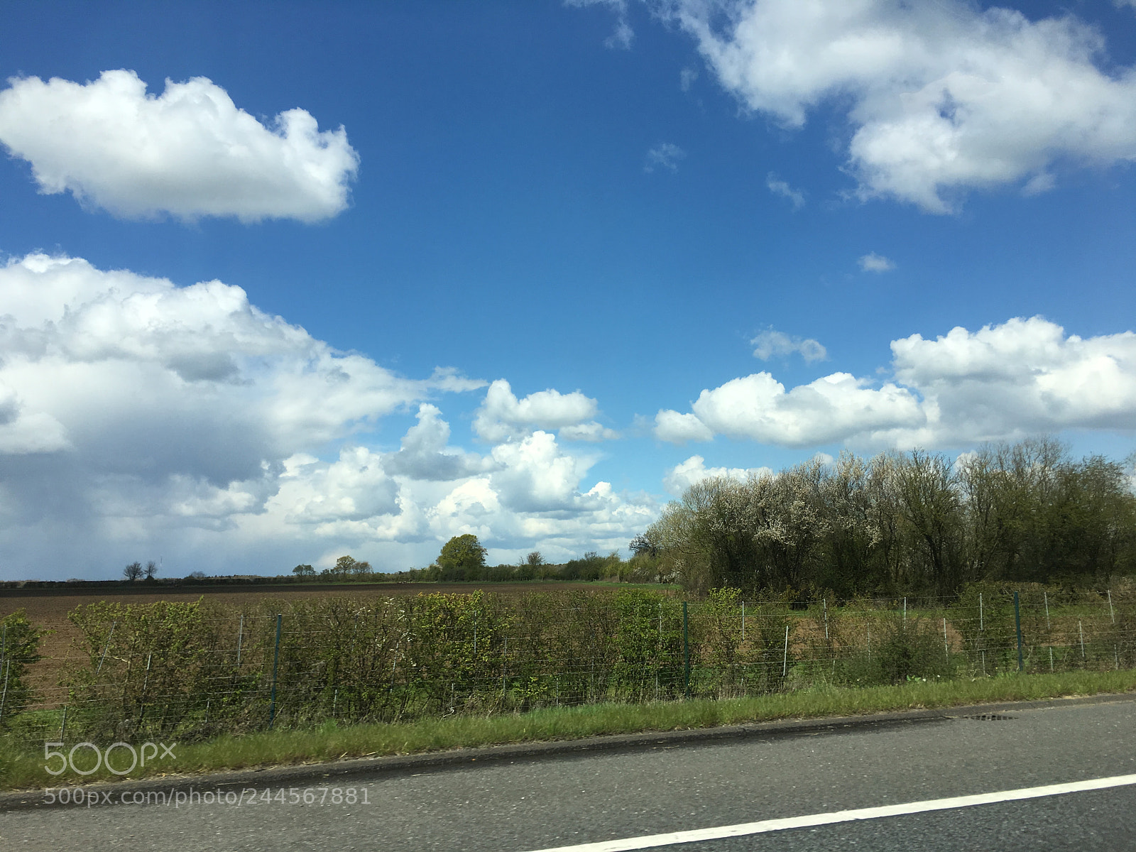 Apple iPhone 6s sample photo. Img photography