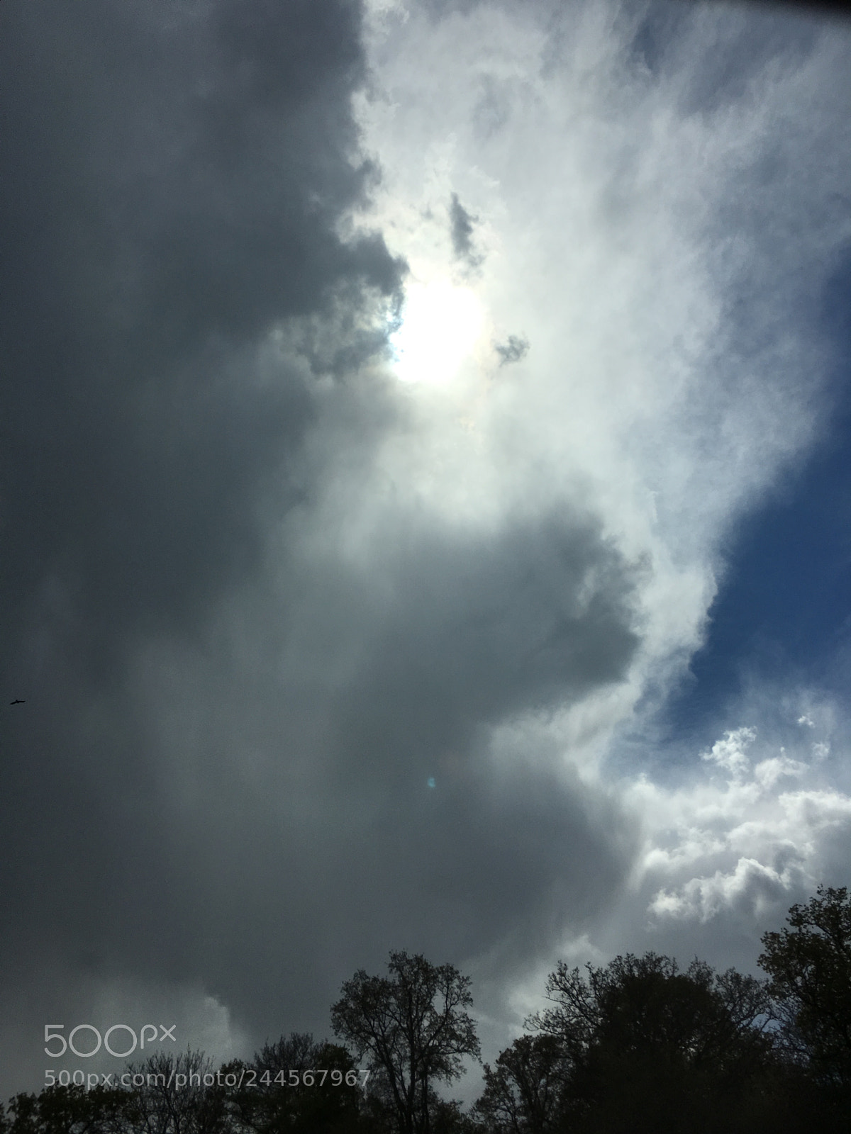 Apple iPhone 6s sample photo. Img photography