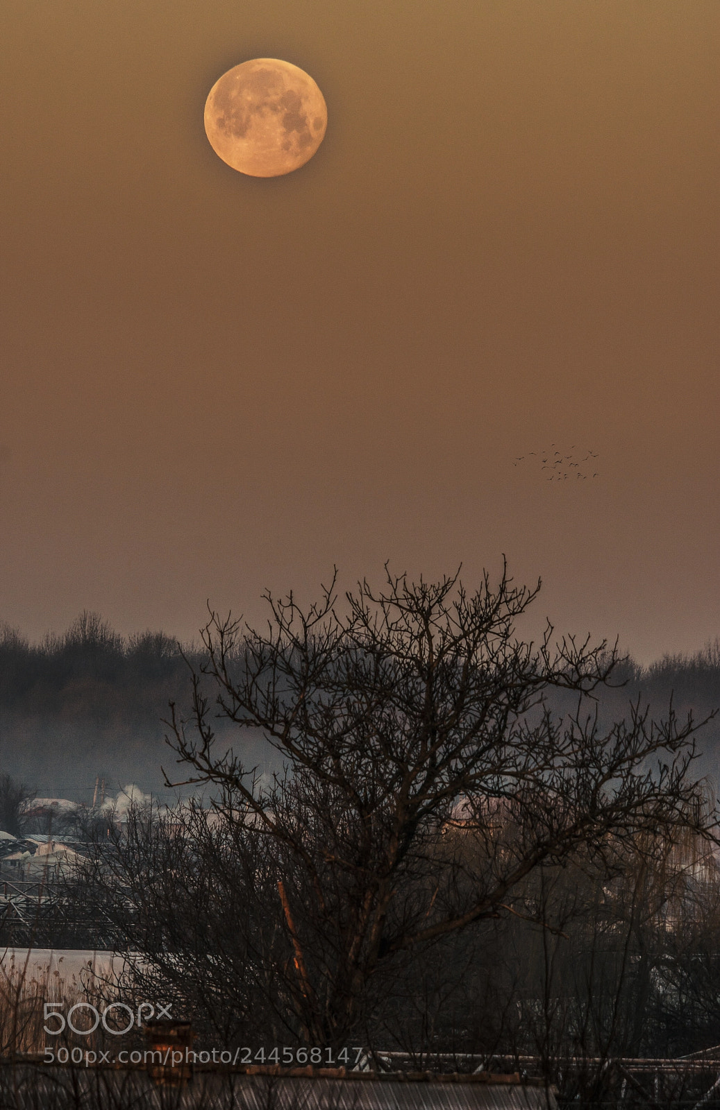 Nikon D7100 sample photo. Super moon photography