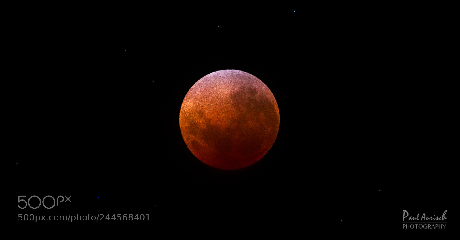 Nikon D500 sample photo. Lunar eclipse super blue photography