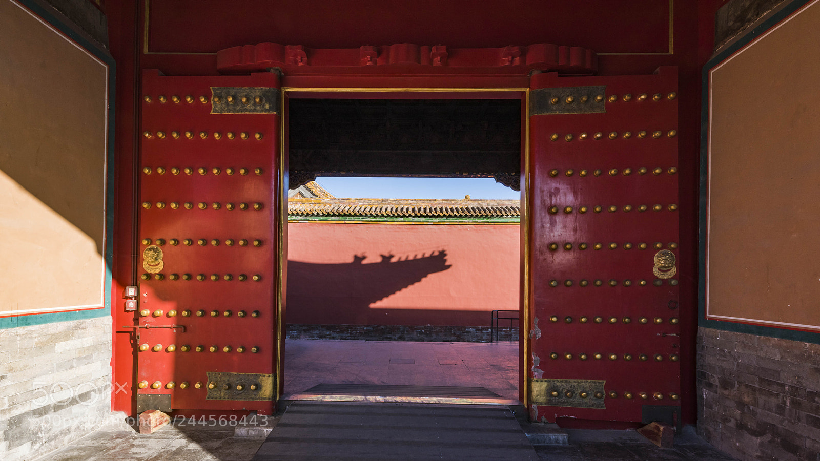 Nikon D810 sample photo. Untitled photography