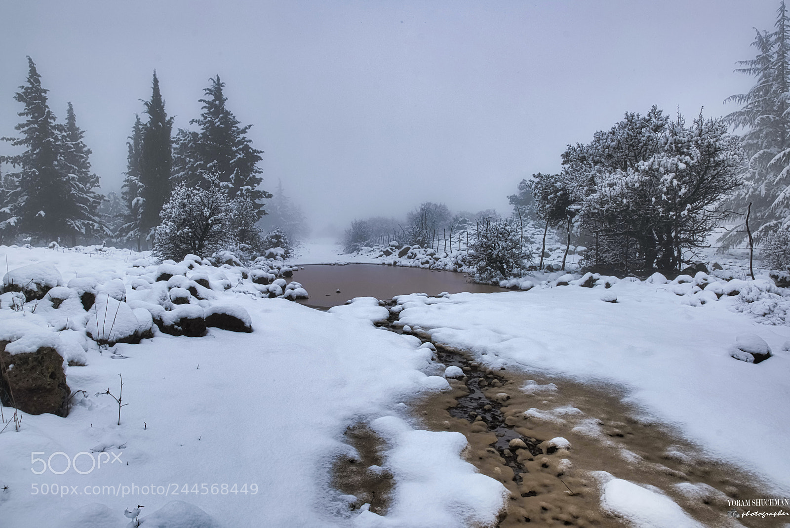 Nikon D810 sample photo. An israeli winter in photography