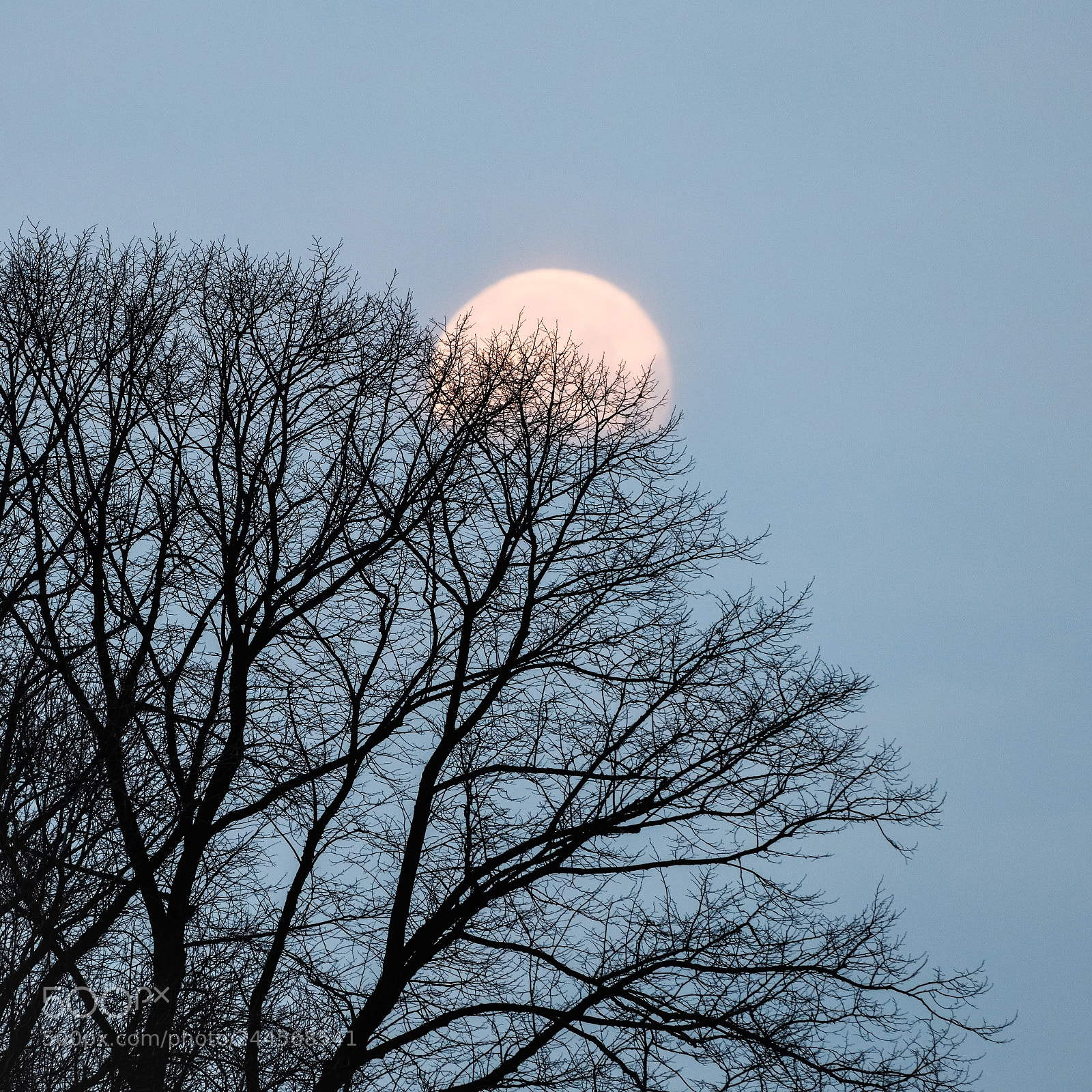 Nikon D850 sample photo. Blue moon morning photography