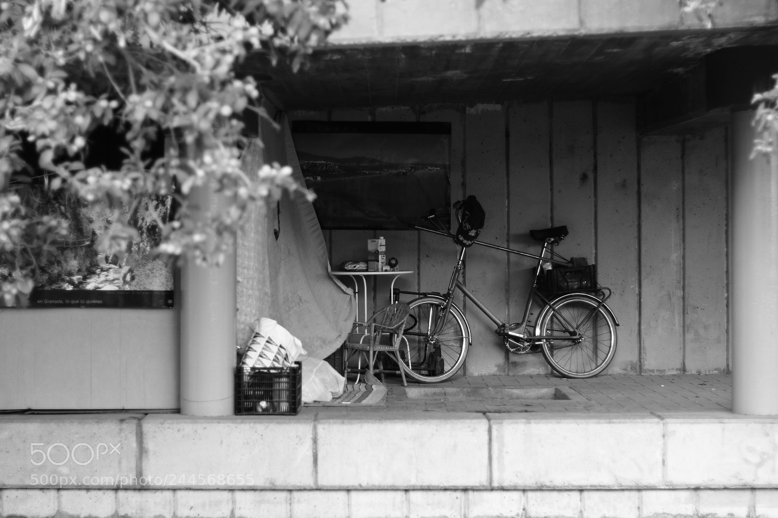 Canon EOS 1300D (EOS Rebel T6 / EOS Kiss X80) + Canon EF 50mm F1.8 STM sample photo. A place to call photography