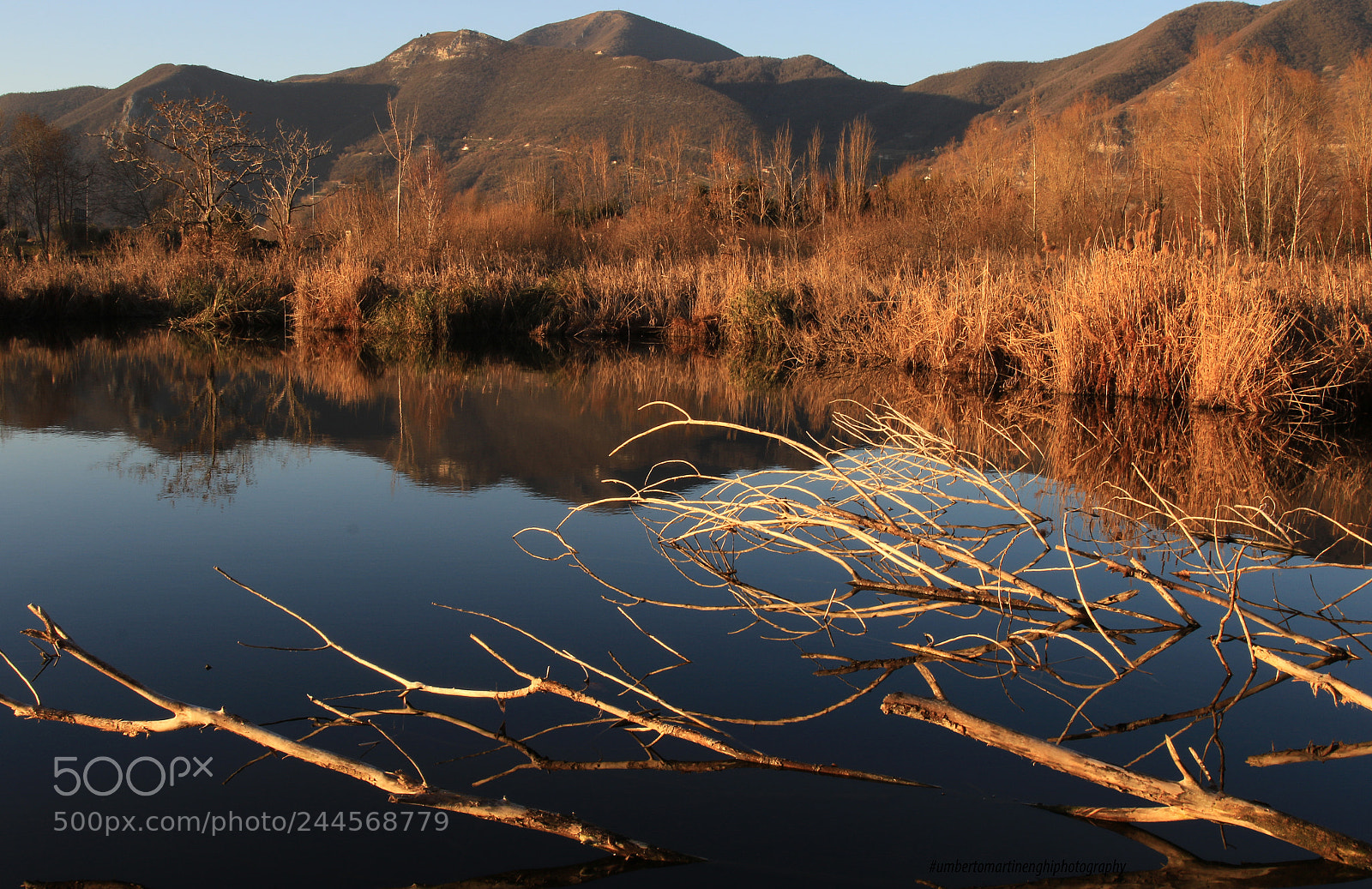 Canon EOS 7D Mark II sample photo. "torbiere del sebino" photography
