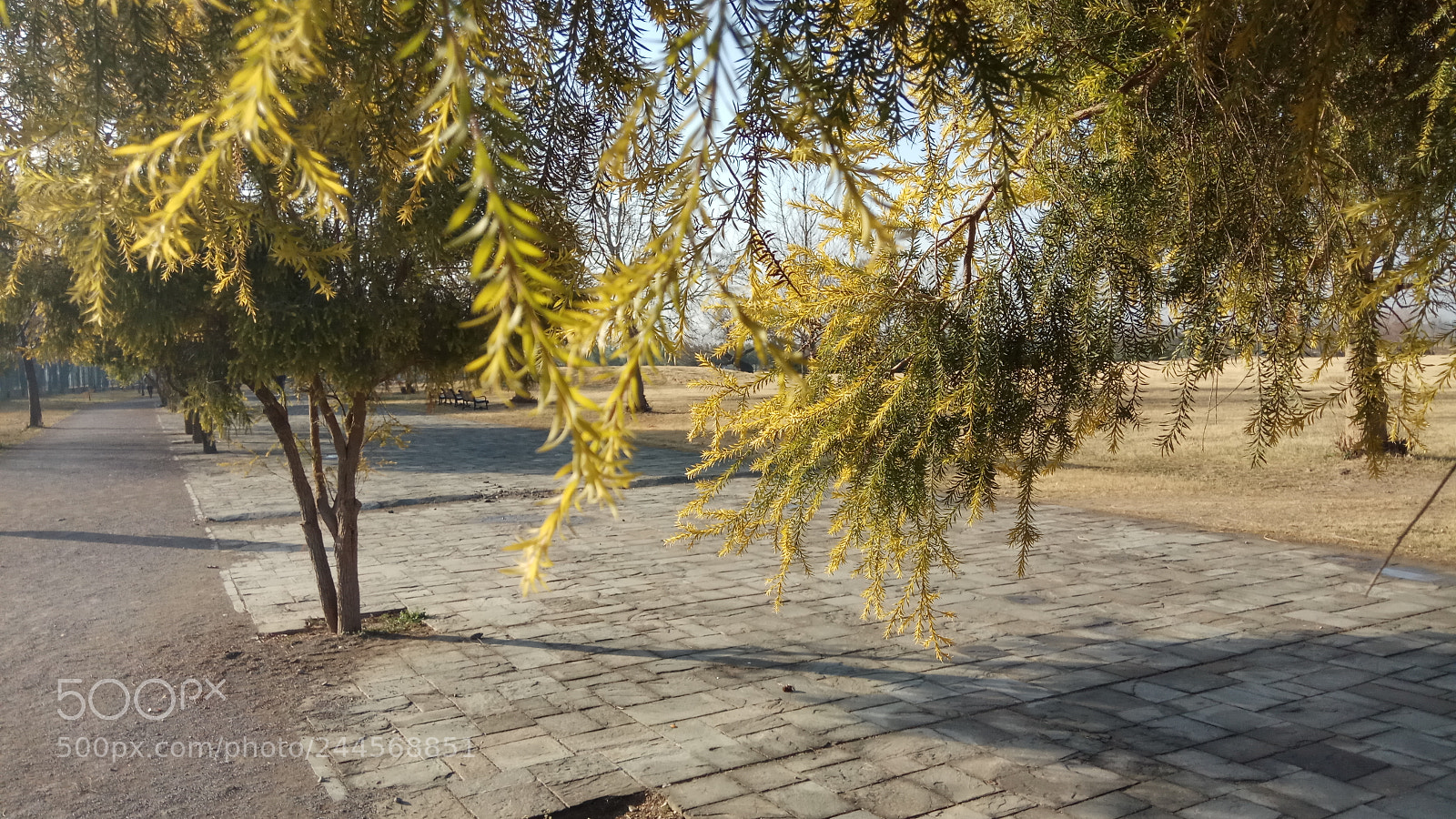 Xiaomi Redmi Note 4 sample photo. Live view after the photography