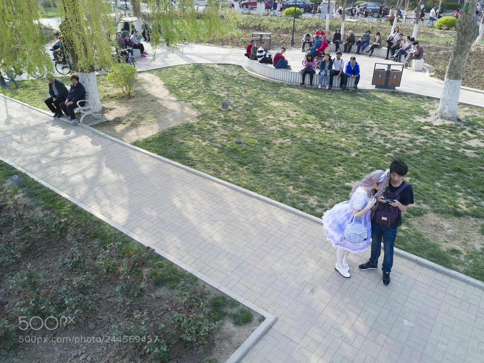 DJI FC220 sample photo. Dji photography