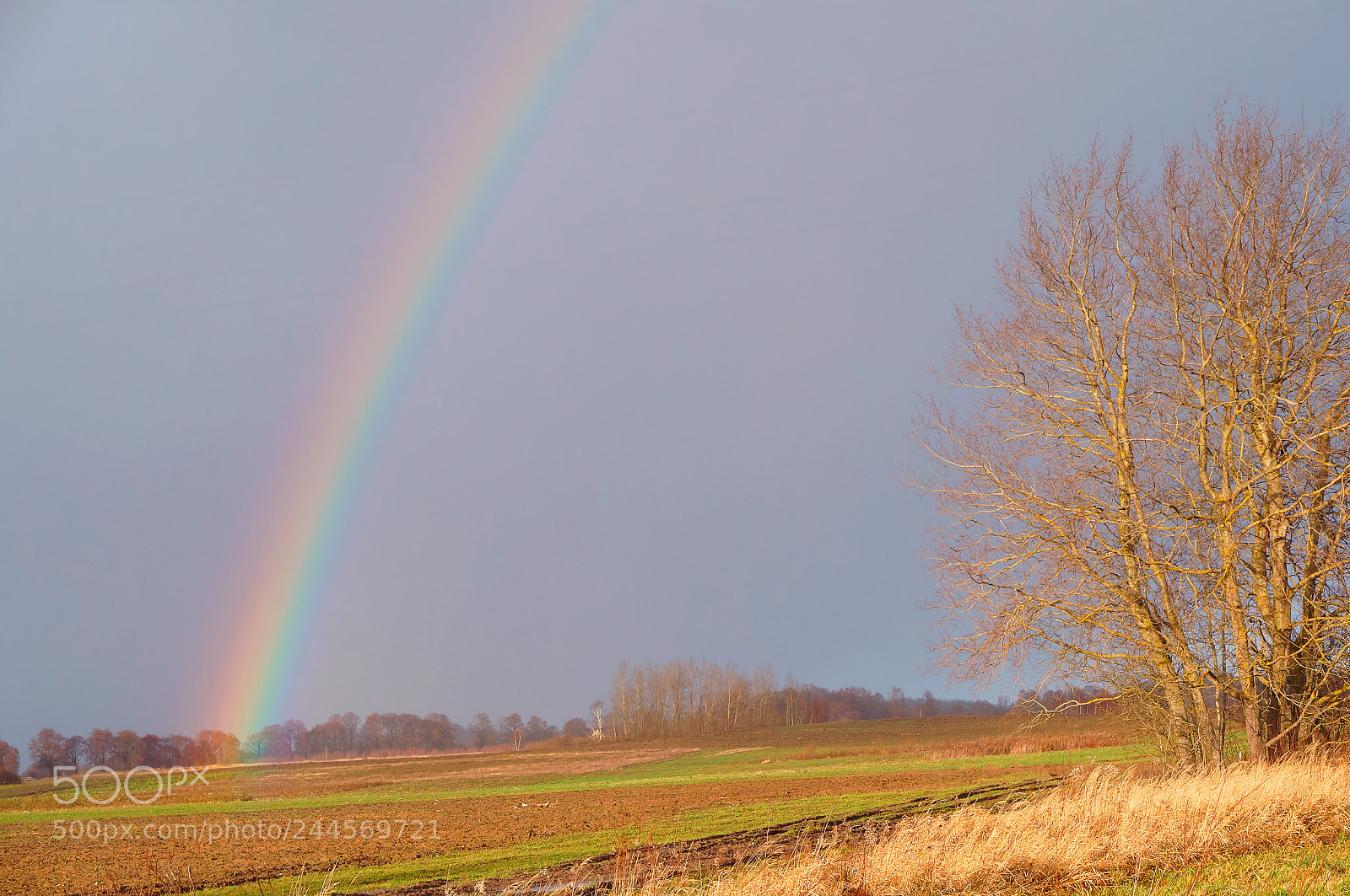 Sony Alpha NEX-3N sample photo. Rainbow in a field photography
