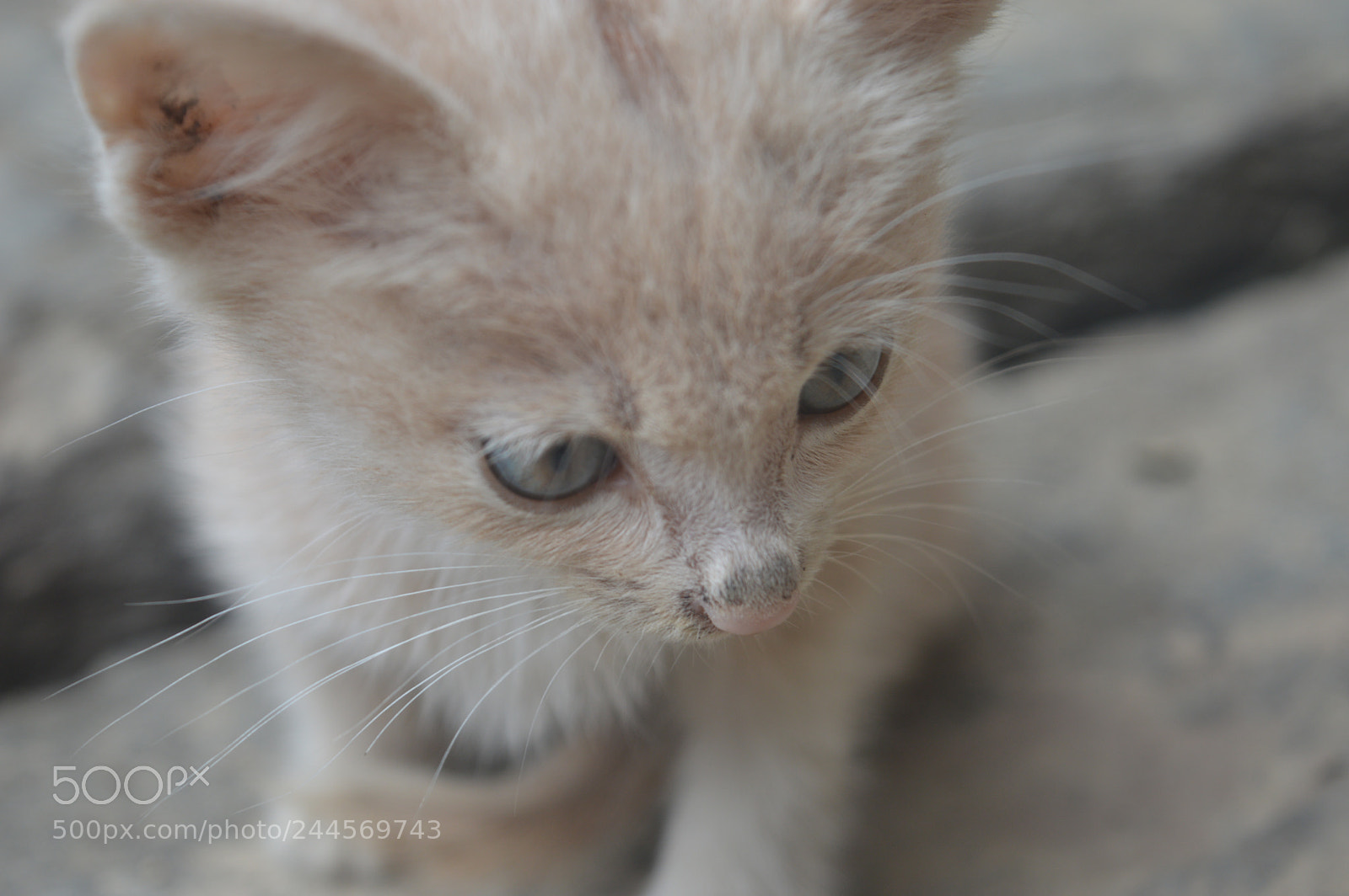 Nikon D3200 sample photo. Thinking photography