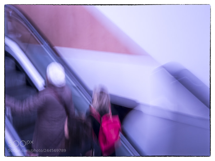 Olympus OM-D E-M1 Mark II sample photo. . photography