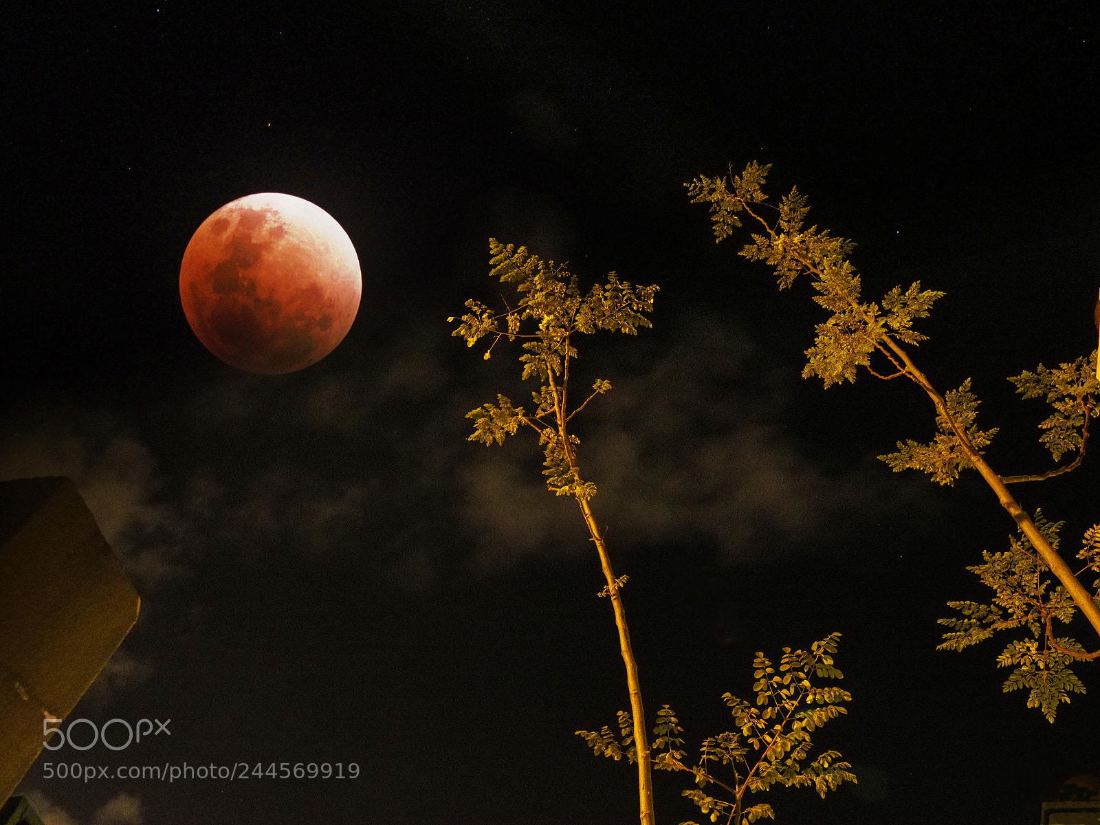 Olympus OM-D E-M1 Mark II sample photo. Super moon 2018 photography