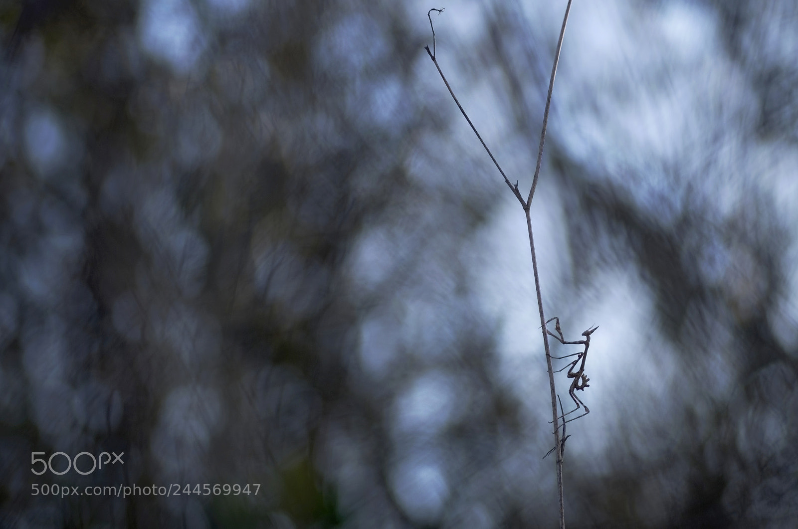 Pentax K-5 sample photo. Escapade nocturne photography