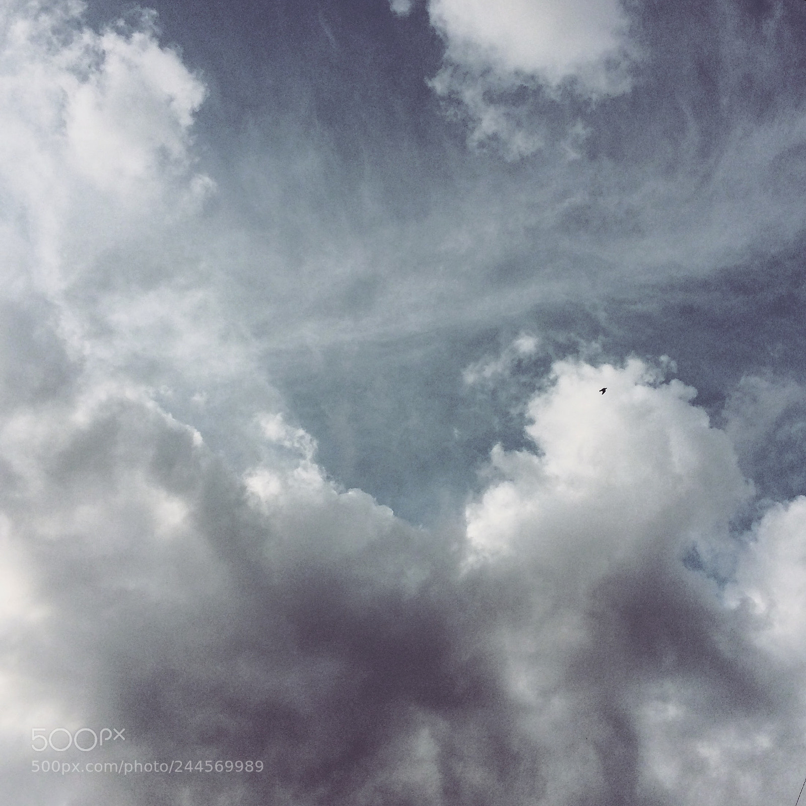 Apple iPhone 5s sample photo. I wanna fly. photography