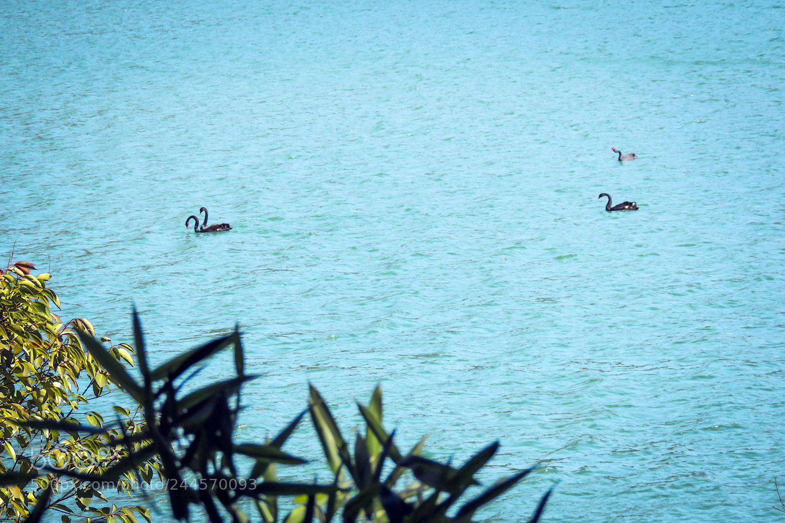 Nikon Coolpix P510 sample photo. 水色 photography