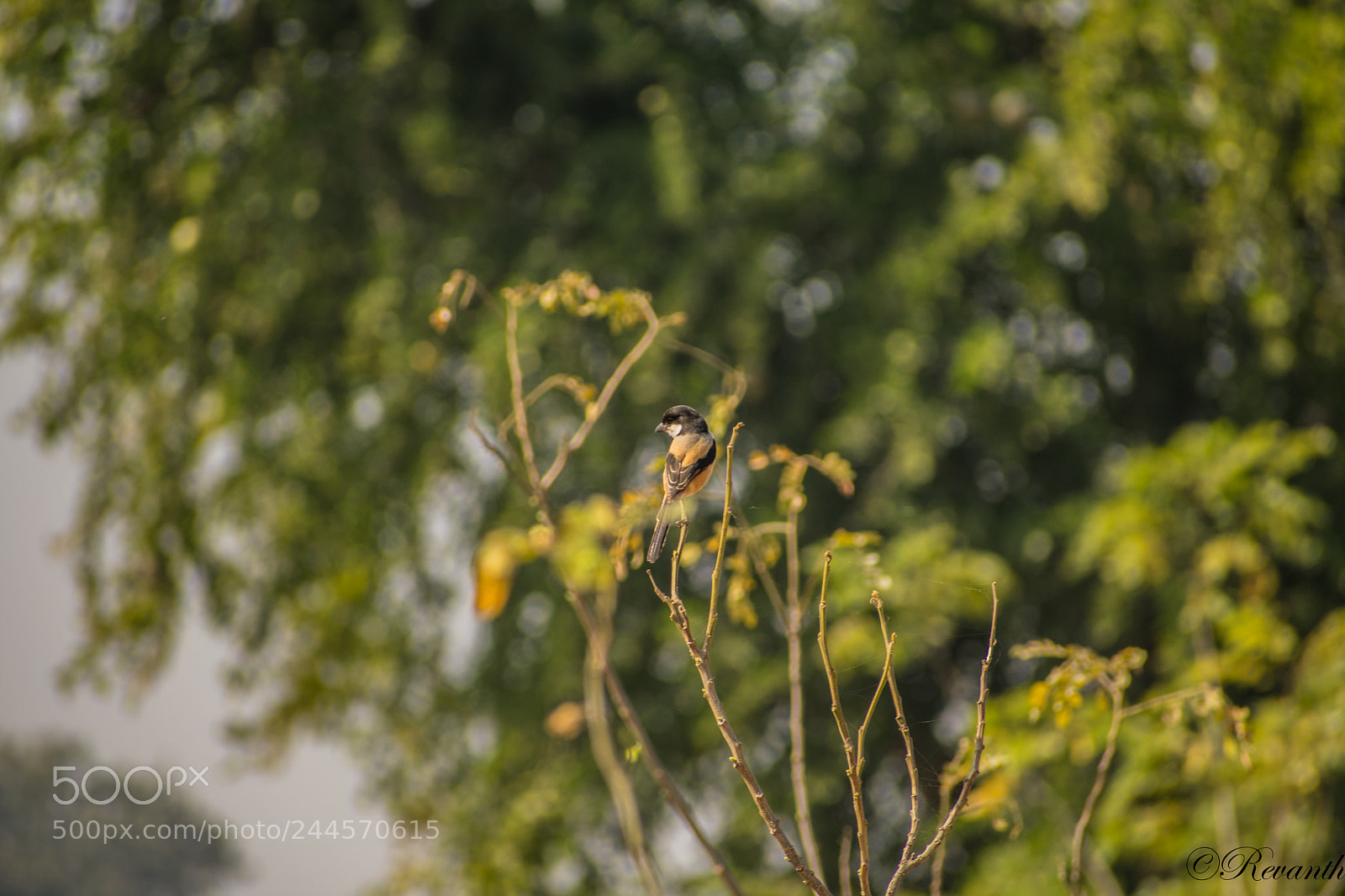 Nikon D3400 sample photo. Untitled photography
