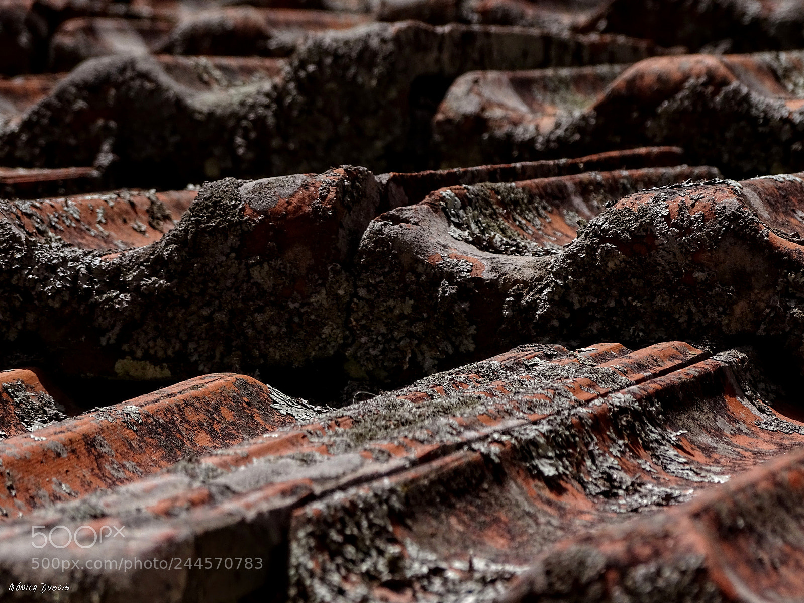 Sony Cyber-shot DSC-HX400V sample photo. Textura photography