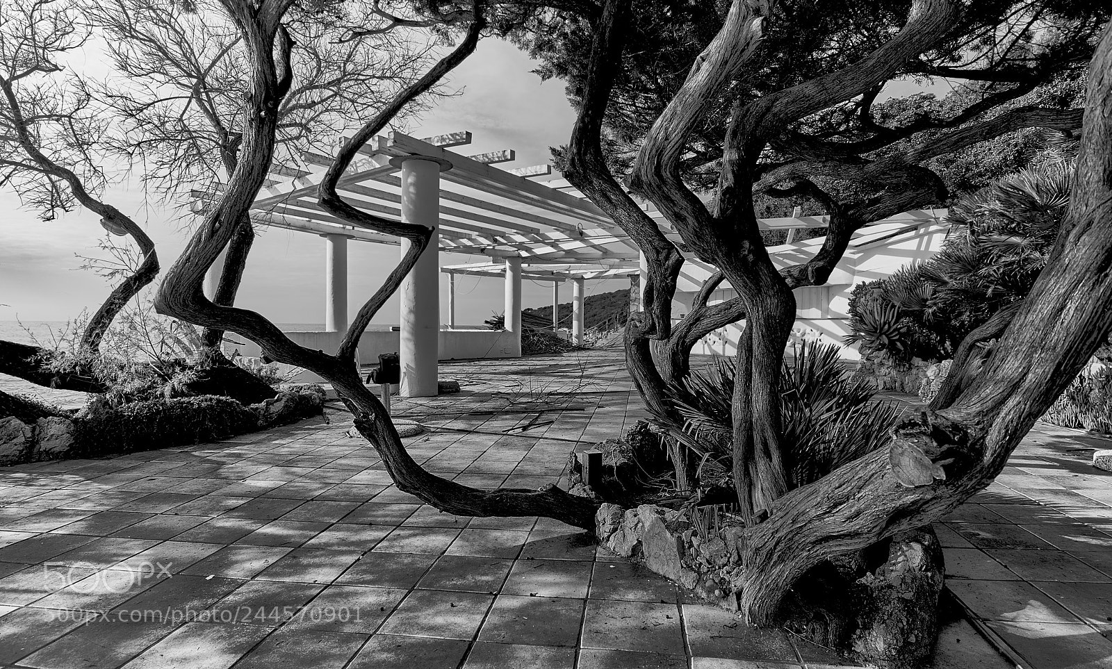 Sony a7R sample photo. Geometrie photography