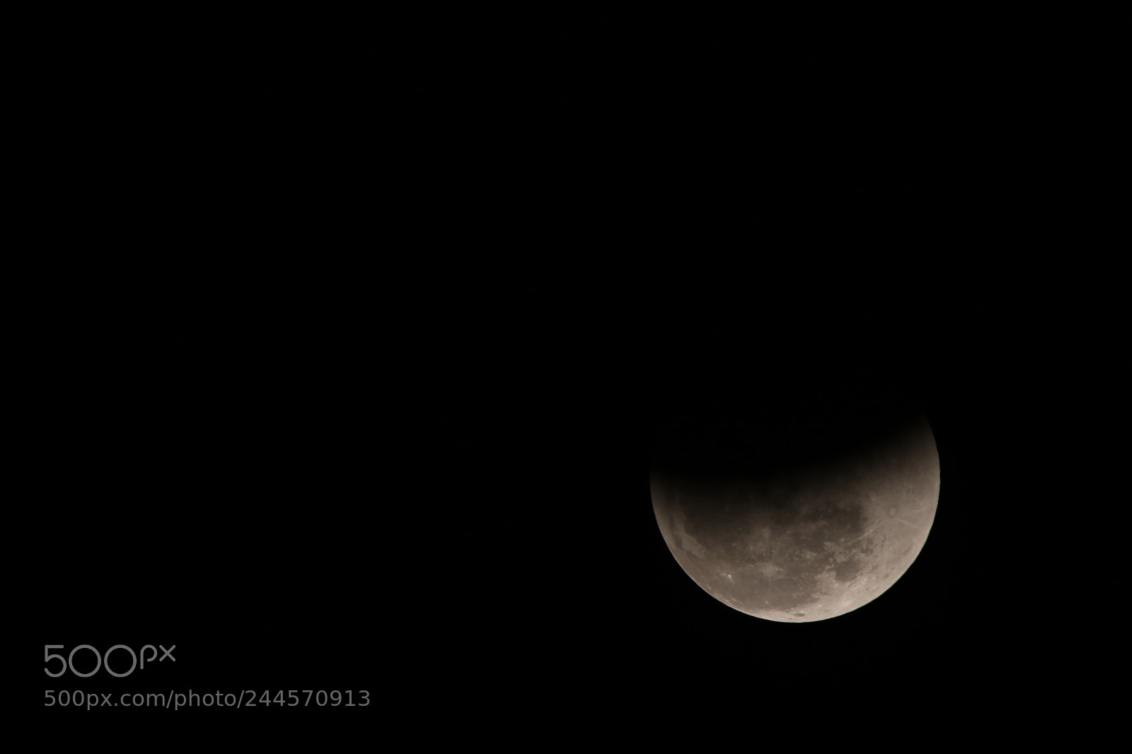 Tamron SP 150-600mm F5-6.3 Di VC USD sample photo. Untitled photography