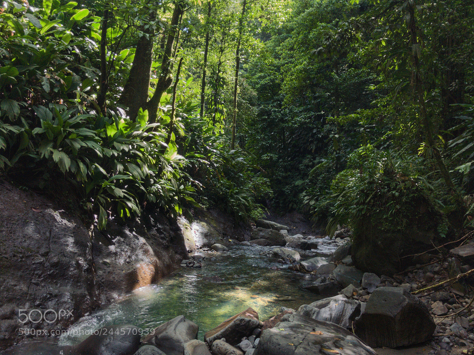 Apple iPhone 7 sample photo. Cascade didier martinique photography