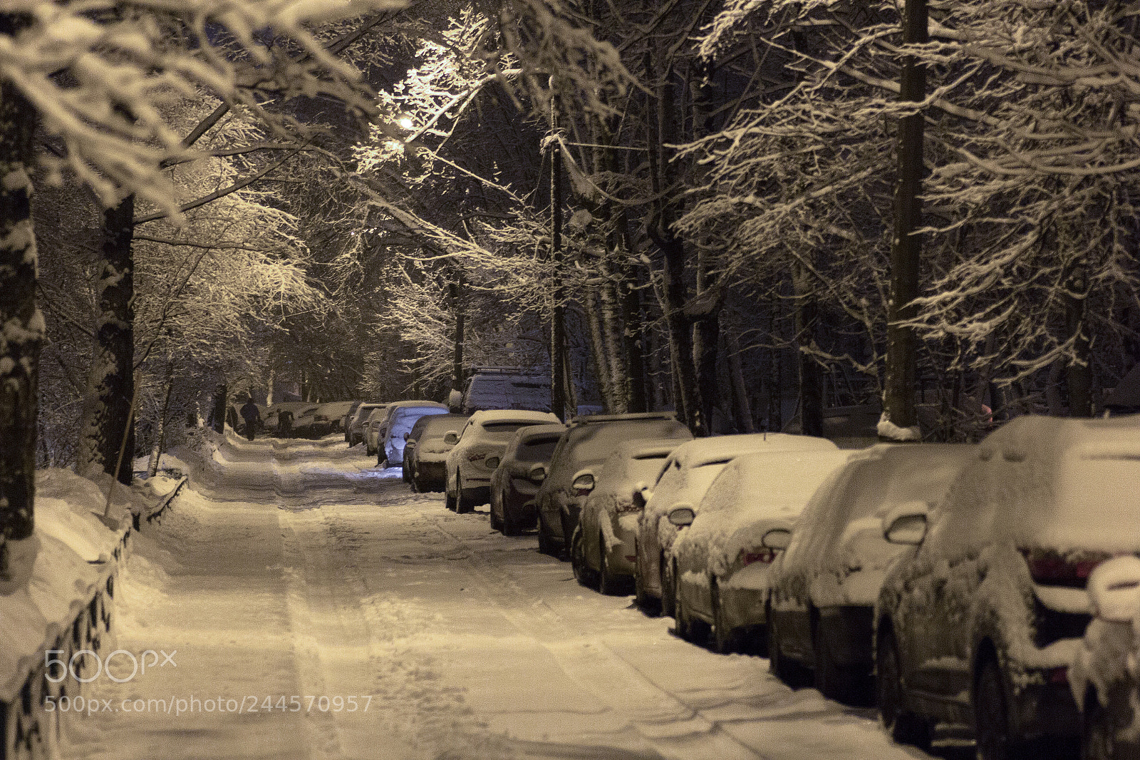 Canon EOS 60D sample photo. Aftersnowfall photography