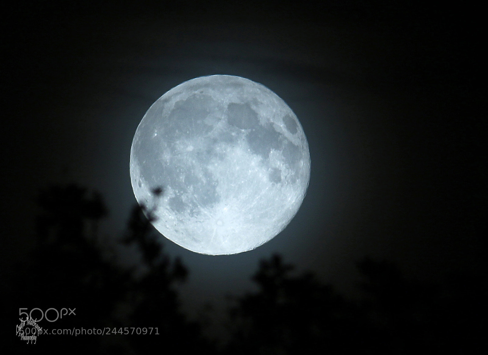 Canon EOS 7D Mark II sample photo. The dark side of photography