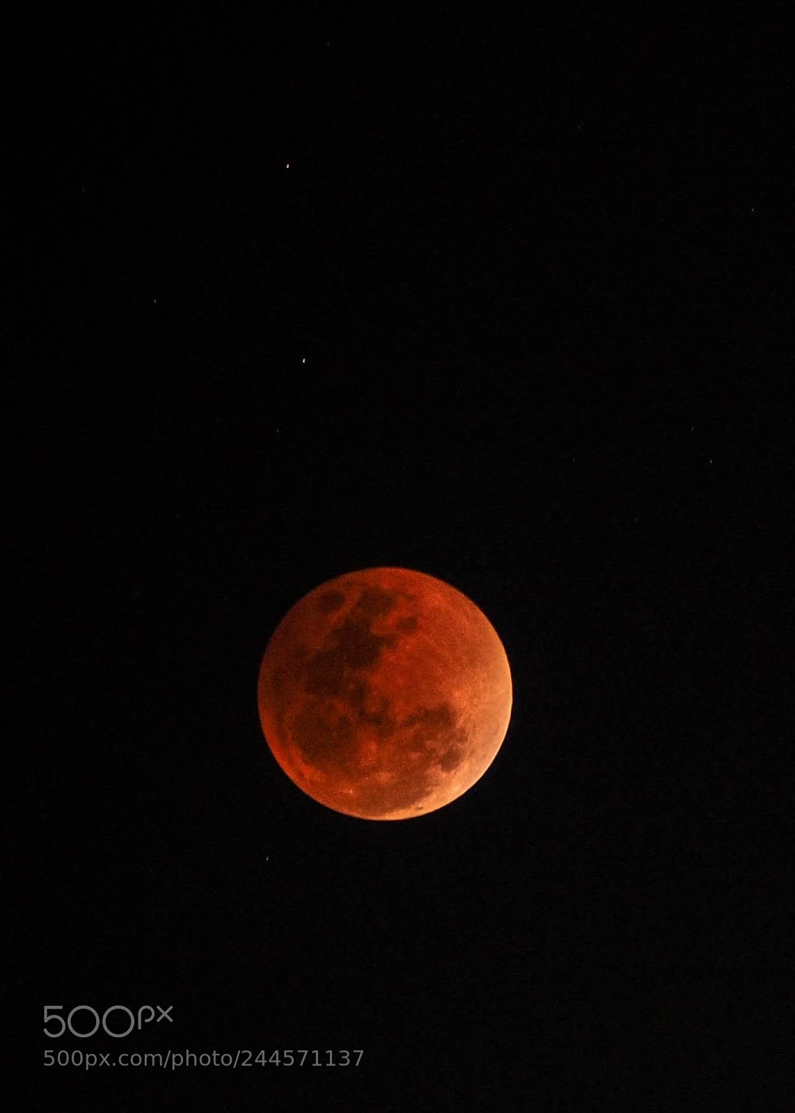 Olympus OM-D E-M10 II sample photo. Super blue blood moon photography