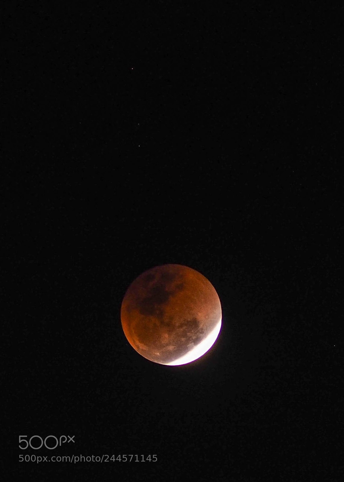 Olympus OM-D E-M10 II sample photo. Super blue blood moon photography
