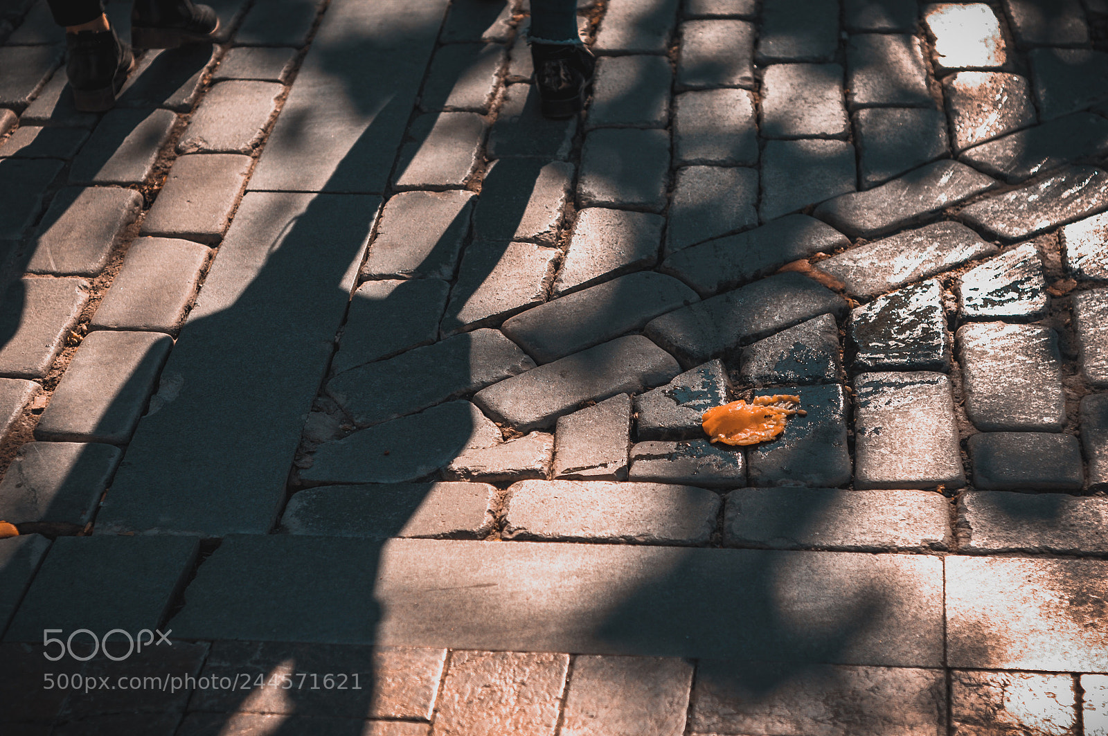 Nikon D90 sample photo. Orange is the new photography