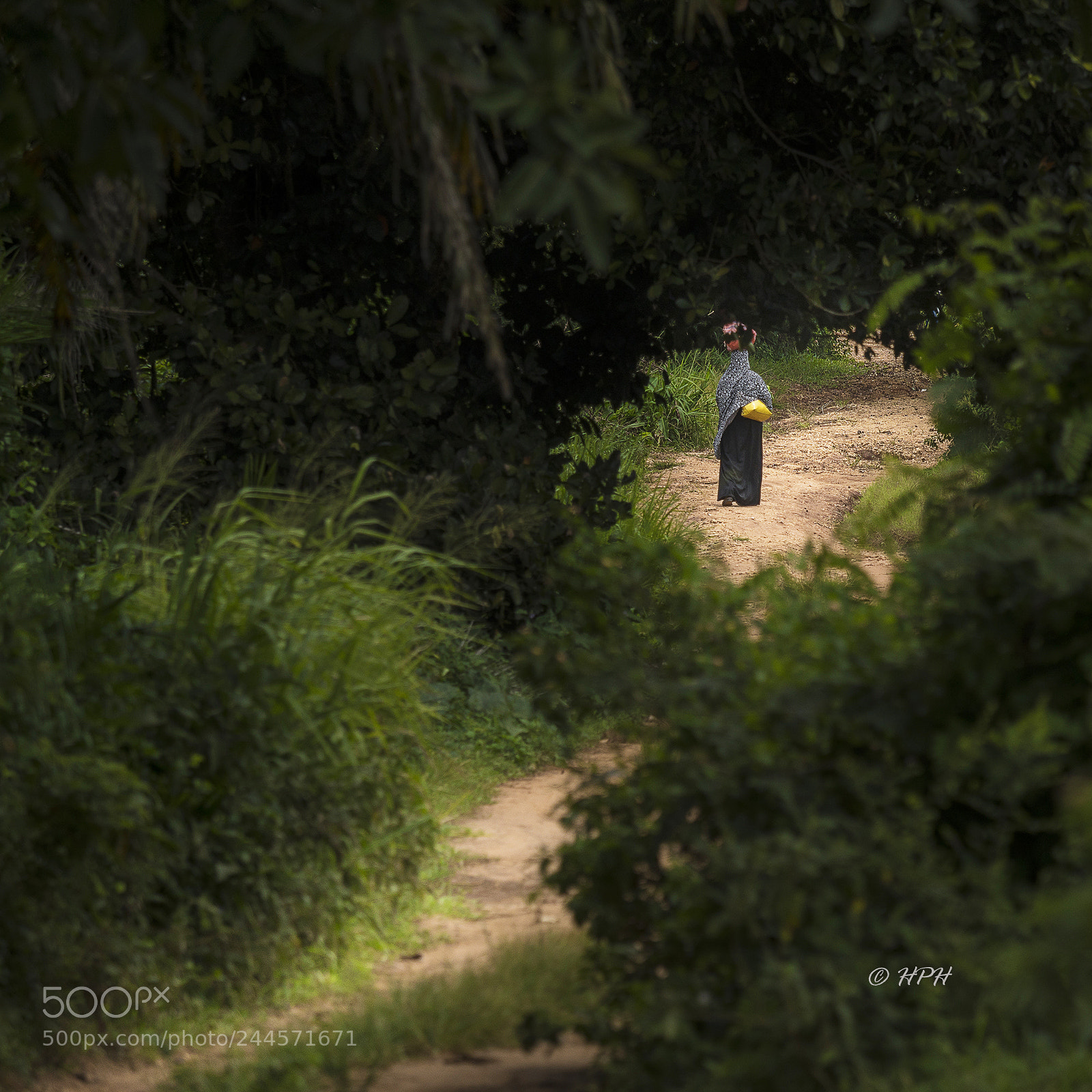 Sony a6500 sample photo. A path through the photography