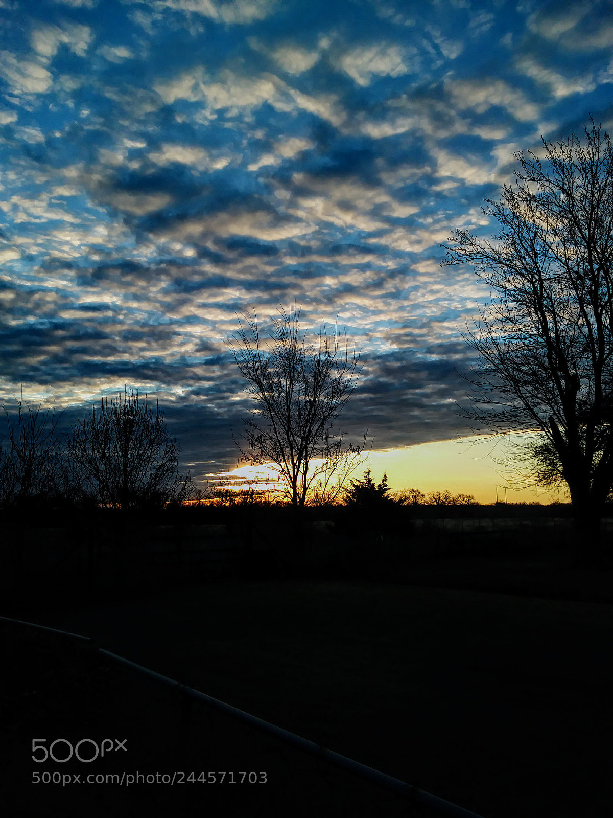 LG ARISTO sample photo. Cool breeze photography
