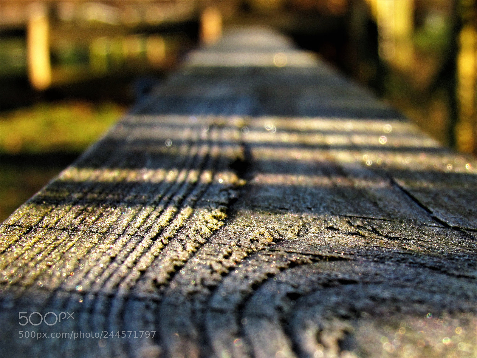 Canon PowerShot SX530 HS sample photo. Cool wood photography