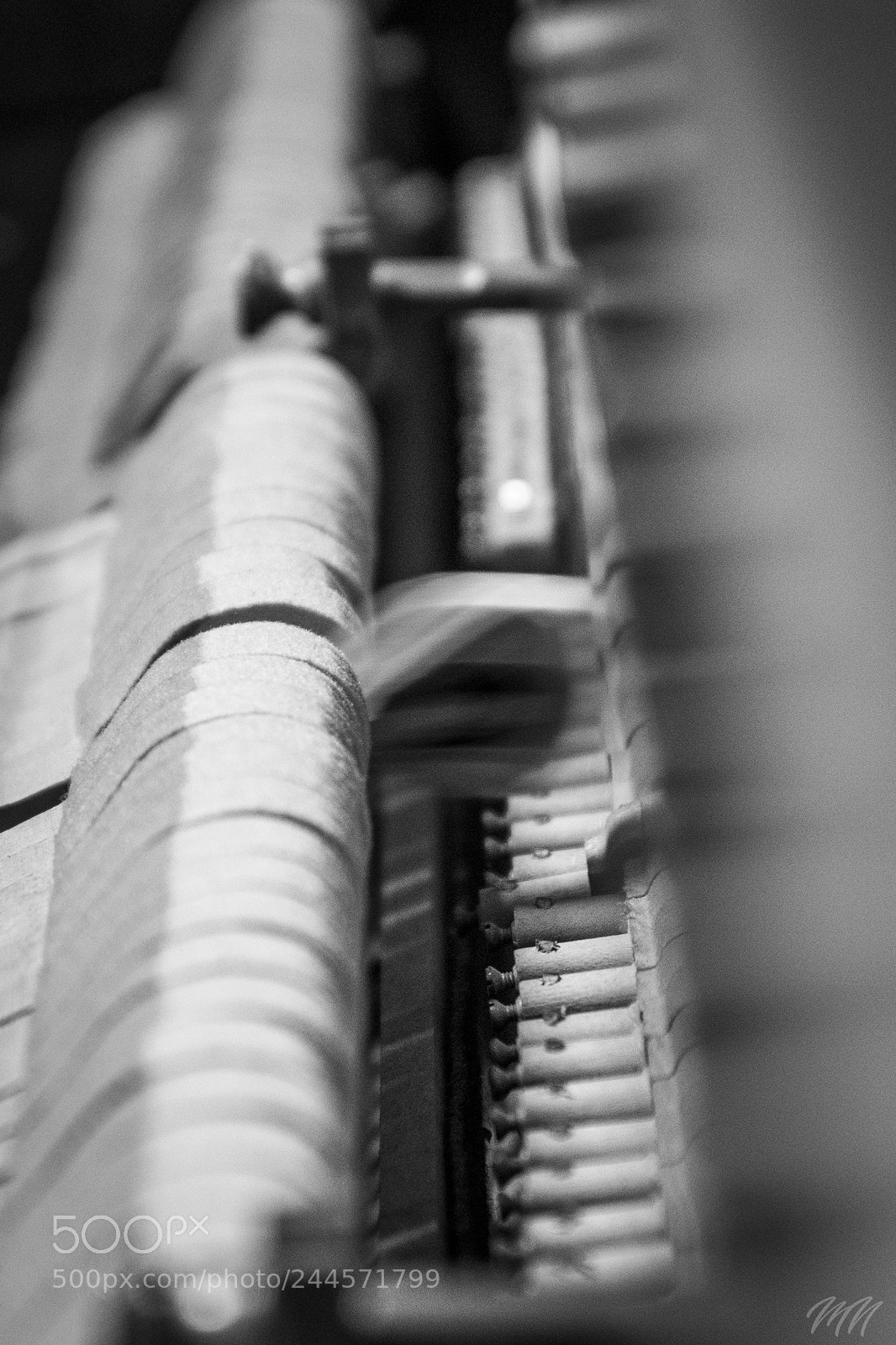 Sony ILCA-77M2 sample photo. Beccato! photography