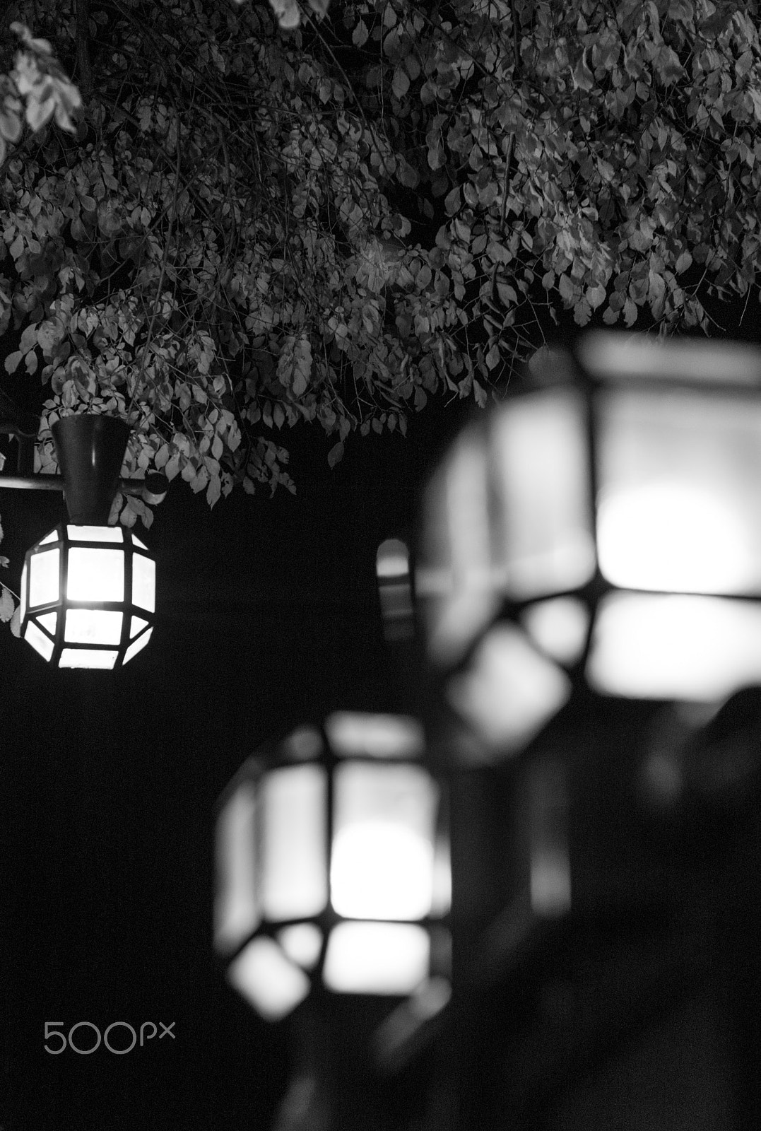 Leica M8 sample photo. February 01 photography