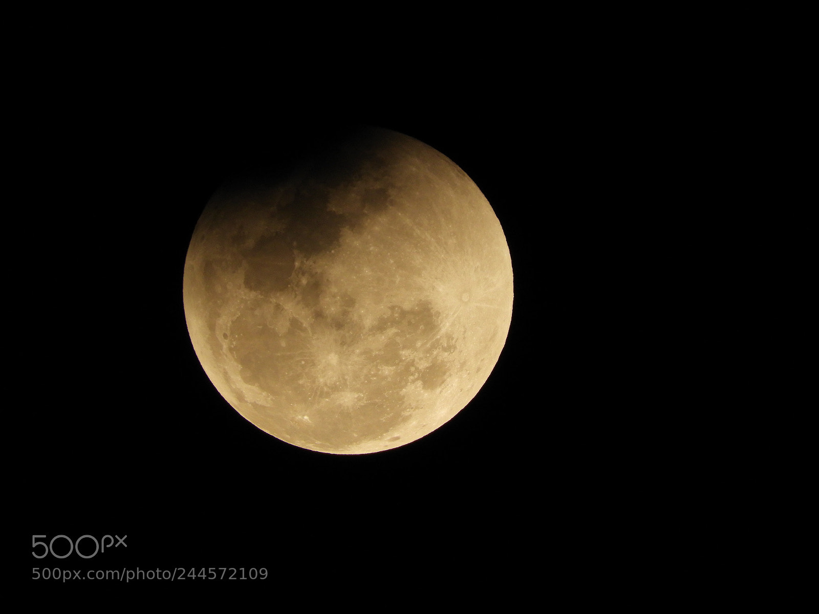 Nikon Coolpix B700 sample photo. Super blue blood moon photography