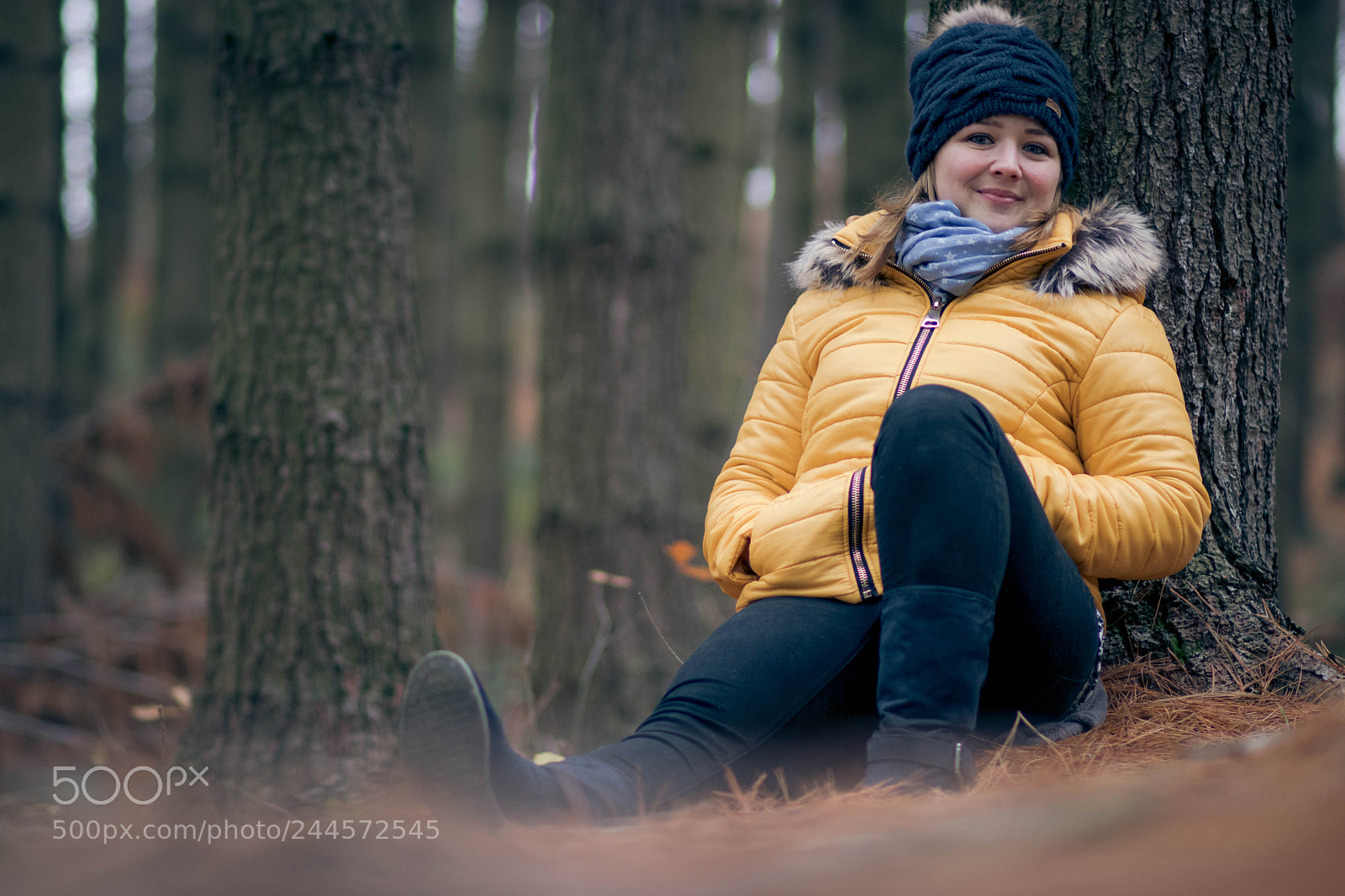 Canon EOS 77D (EOS 9000D / EOS 770D) sample photo. In the pines photography