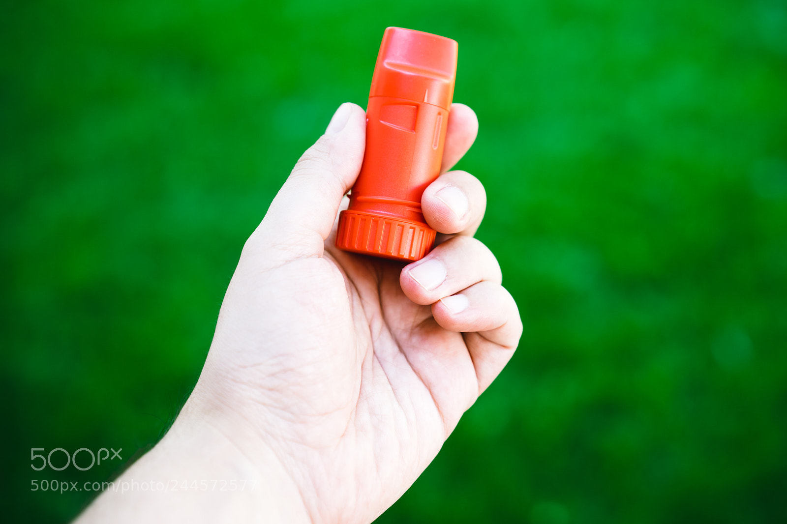 Sony a7 II sample photo. Close-up of hand holding photography