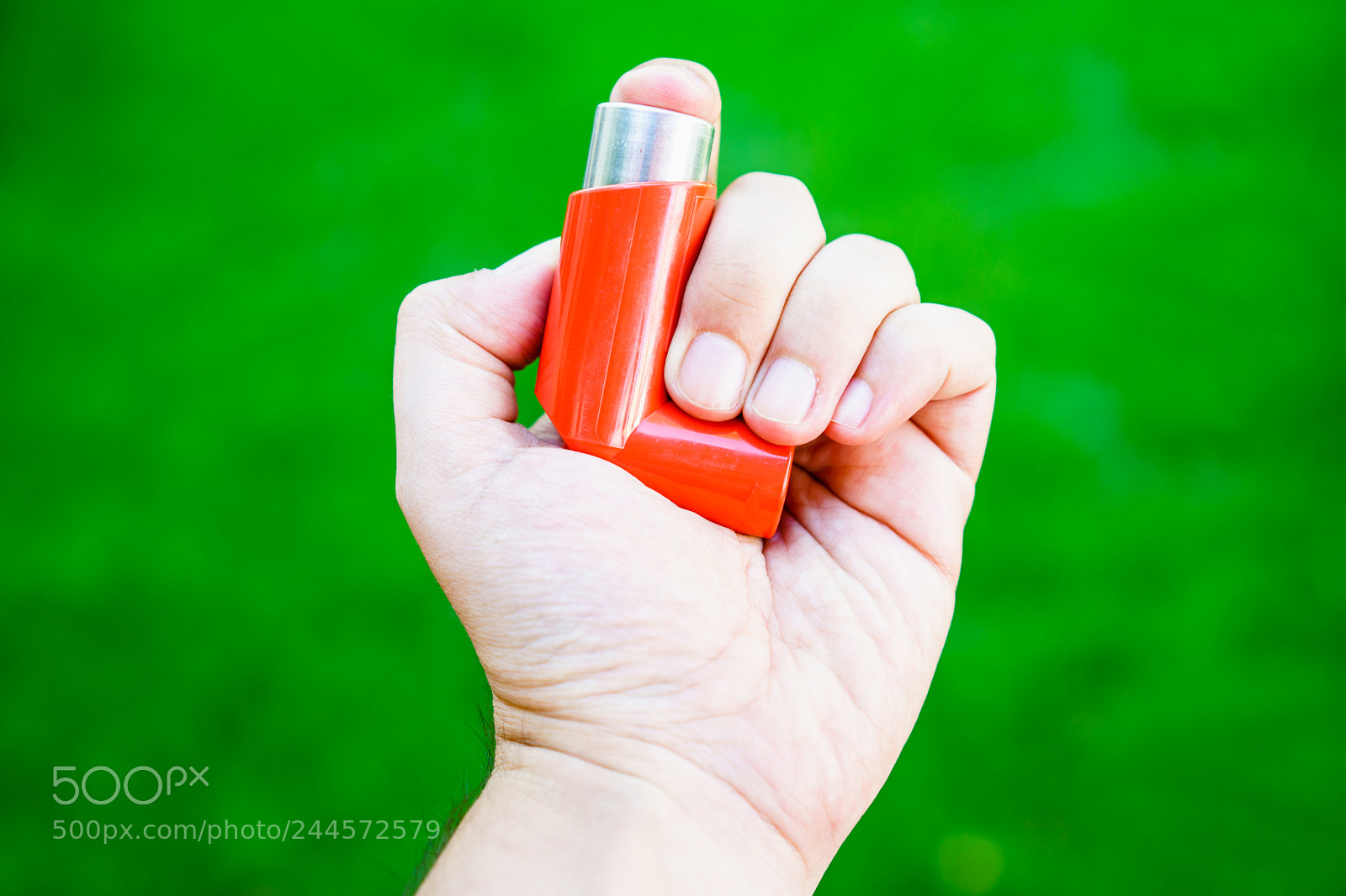 Sony a7 II sample photo. Close-up of hand holding photography