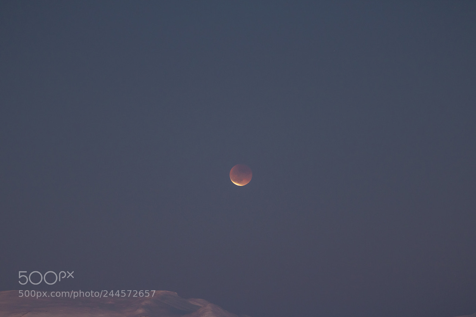 Canon EOS 760D (EOS Rebel T6s / EOS 8000D) sample photo. Blue blood supermoon eclipse photography
